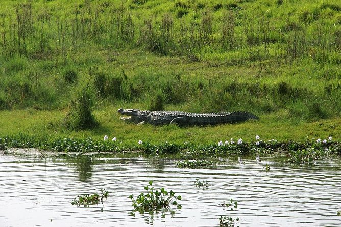3-Day Chitwan Jungle Safari Tour From Kathmandu - Cancellation Policy