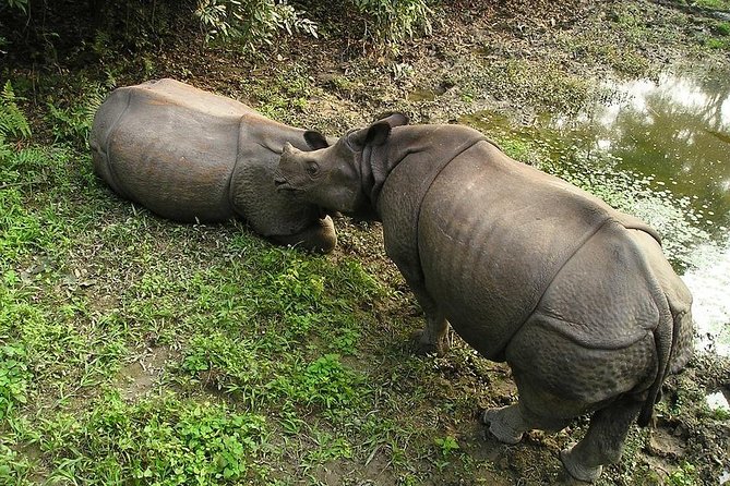 3-Day Chitwan Jungle Safari Tour From Kathmandu - Chitwan National Park