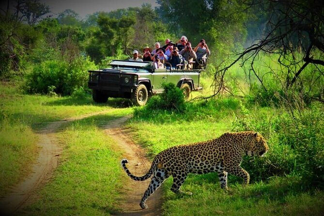 3 Day Chitwan National Park, Jungle Safari Package all Inclusive - What’s Included & What’s Not