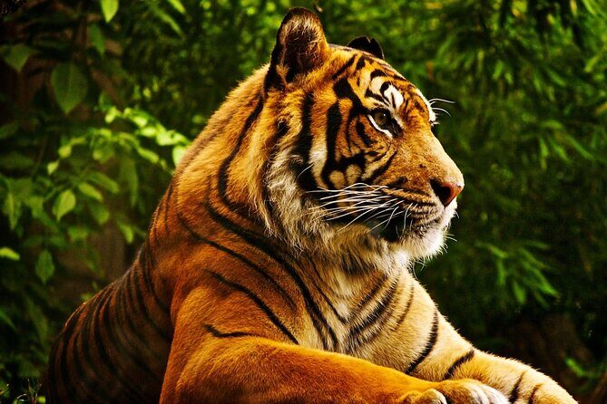 3 Day Chitwan National Park, Jungle Safari Package all Inclusive - The Review from Past Travelers