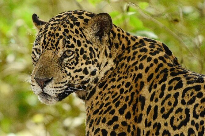 3 Day Chitwan National Park, Jungle Safari Package all Inclusive - The Itinerary Breakdown: What to Expect Each Day