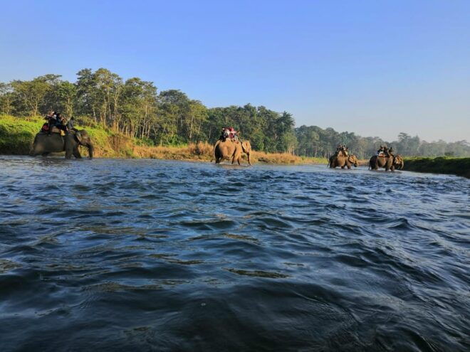 3-Day Chitwan National Park Jungle Safari Tour Kathmandu: - Inclusions and Exclusions
