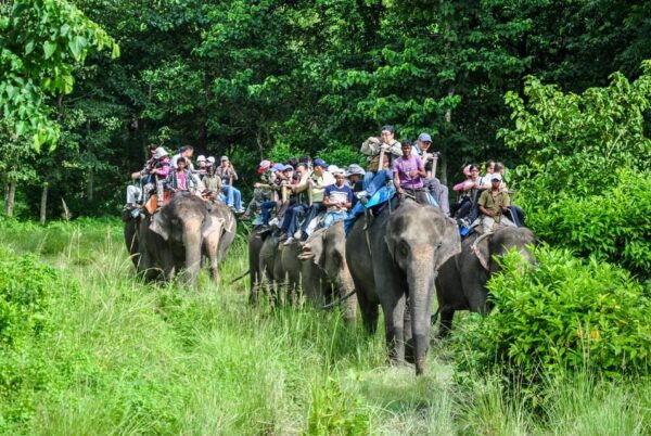 3-Day Chitwan National Park Jungle Safari Tour Kathmandu: - Cultural Insights