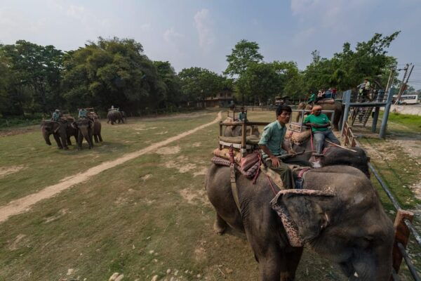 3-Day Chitwan National Park Jungle Safari Tour Kathmandu: - Questions You May Have