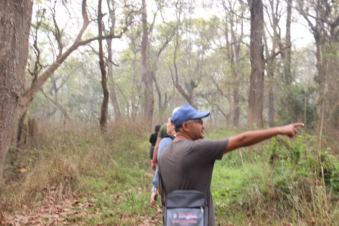 3-Day Chitwan National Park Jungle Safari Tour Package With Pick up - Tour Overview and Inclusions