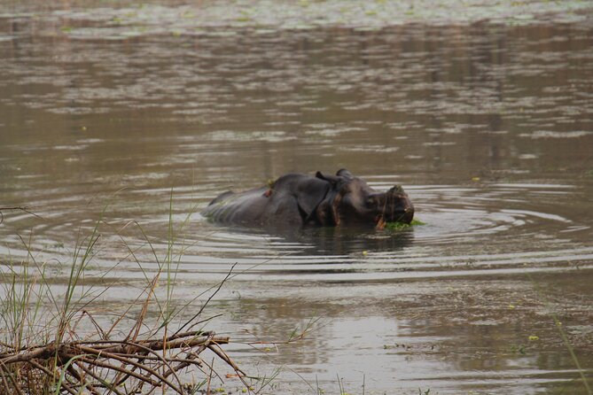 3-Day Chitwan National Park Jungle Safari Tour Package With Pick up - Authenticity of Reviews
