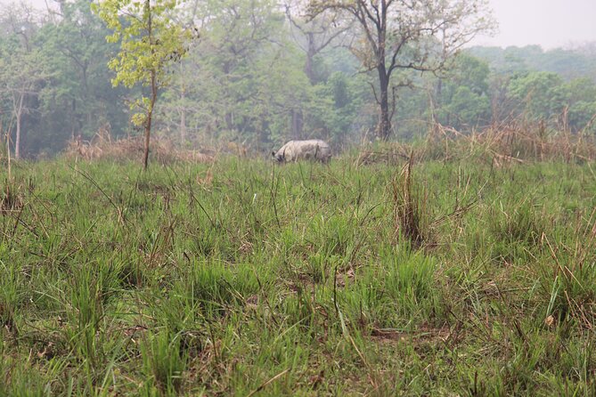 3-Day Chitwan National Park Jungle Safari Tour Package With Pick up - Terms & Conditions Apply