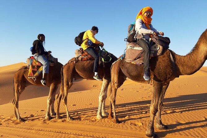 3-Day Circuit in the Sahara Desert of Merzouga From Marrakech - Common Questions