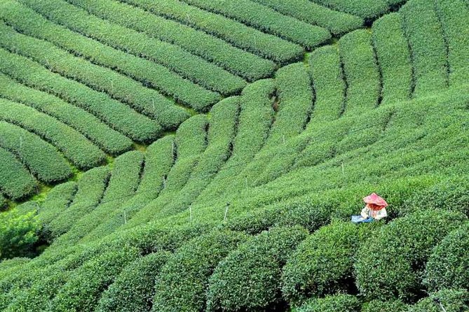 3-day Classic Taiwan History and Nature Private Tour - The Sum Up