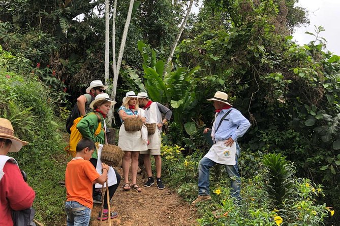 3-Day Colonial Coffee Trail - Tour Overview