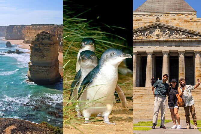 3 Day Combo: Great Ocean Road, Penguin Parade and FREE City Tour - Good To Know