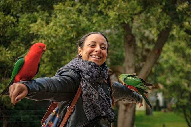 3 Day Combo: Great Ocean Road, Penguin Parade and FREE City Tour - FAQ