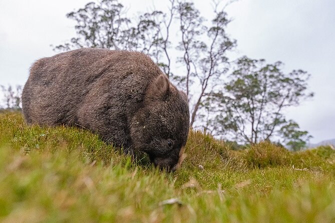 3-Day Cradle Mountain Photography Workshop - Small Group Size