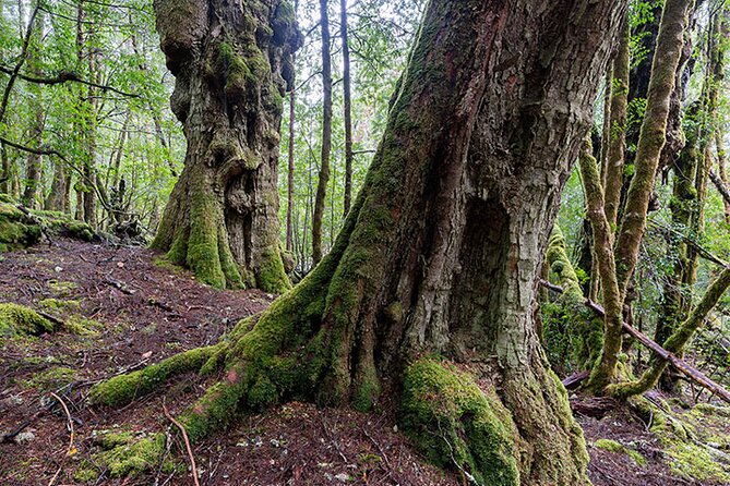 3-Day Cradle Mountain Photography Workshop - Booking and Confirmation