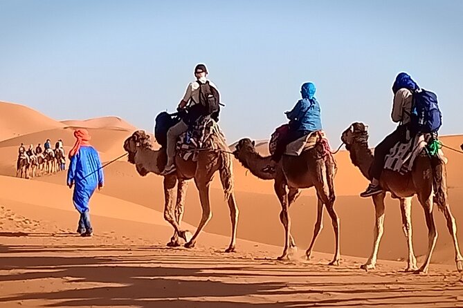 3-Day Desert Discovery: Marrakech to Fes Odyssey via Merzouga - Customer Reviews