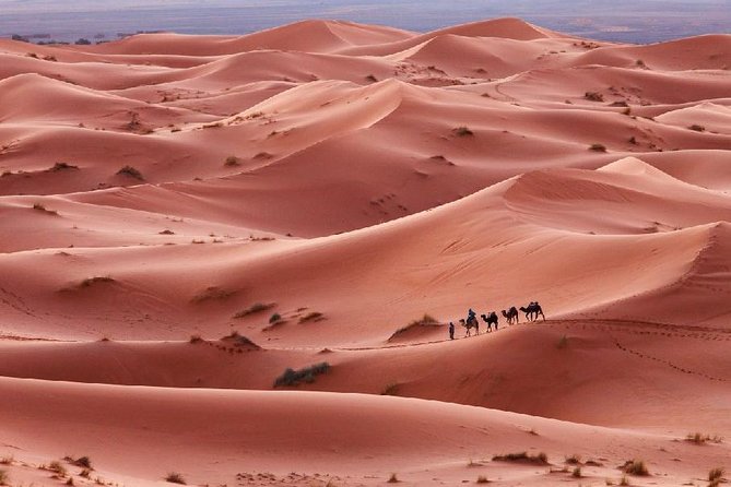 3-Day Desert Experience From Marrakech - Pricing and Booking Information