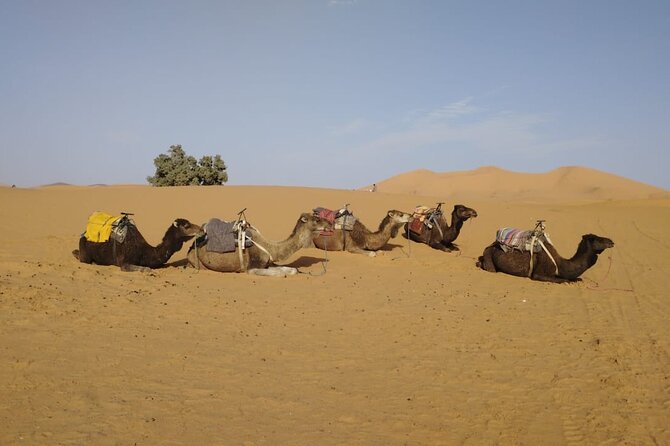 3-Day Desert Tour From Marrakech to Merzouga - Tour Itinerary Highlights