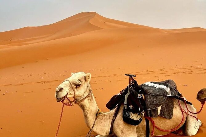 3 Day Desert Tour From Marrakech To Merzouga Dunes - Pickup and Meeting Details