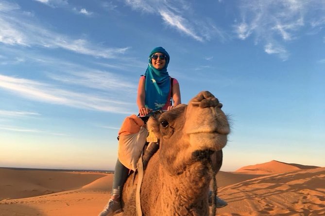 3 Day Desert Tour From Marrakech to Merzouga With Luxury Desert Camp - Tour Operator Information