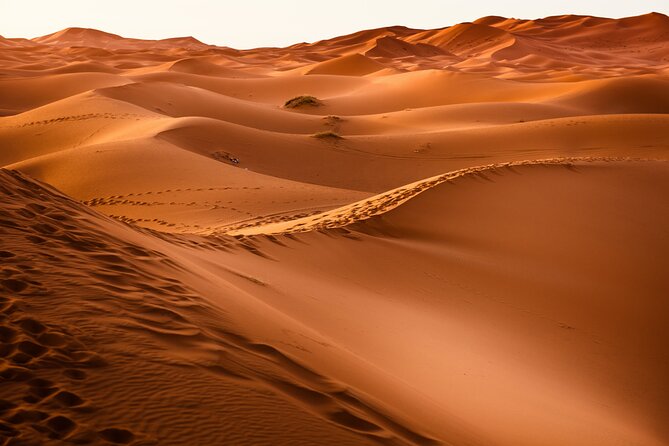 3-Day Desert Tour From Marrakesh to Merzouga With Camel Ride - Meeting and Pickup Information