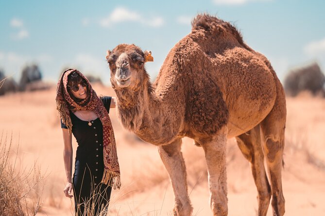 3-Day Desert Tour From Marrakesh to Merzouga With Camel Ride - Customer Reviews