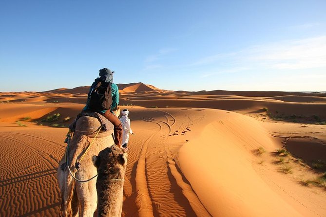 3 Day Desert Tour Marrakech to Fes - Itinerary Overview
