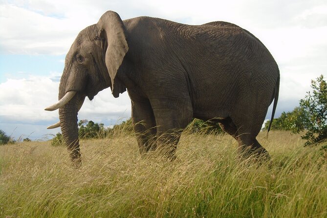 3 Day Diani Beach to Tsavo East & West - Accommodation Details