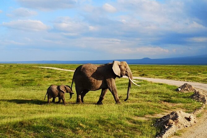 3 Day Diani Beach to Tsavo East & West - Booking Information