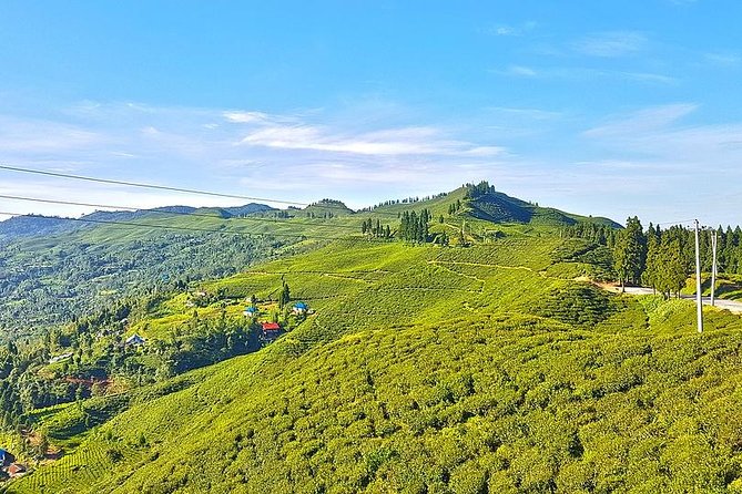 3-Day Eastern Paradise Ilam Tour From Kathmandu - Day 1: Antu Danda and Ilam Tea Garden