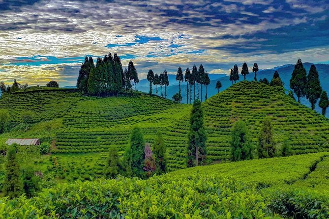 3-Day Eastern Paradise Ilam Tour From Kathmandu - Admission and Accommodation Details