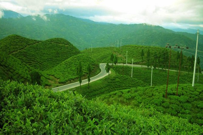 3-Day Eastern Paradise Ilam Tour From Kathmandu - Cancellation Policy and Assistance