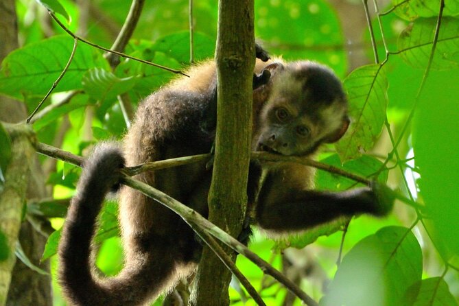 3-Day Eco-Sustainable Private Tour Manu National Park - Tour Details
