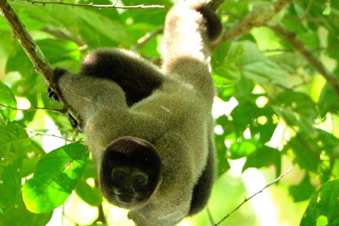 3-Day Eco-Sustainable Private Tour Manu National Park - Reviews