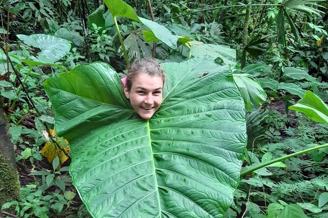 3-Day Eco-Sustainable Private Tour Manu National Park - Questions and Support