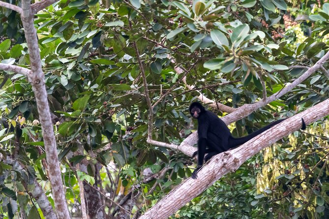 3-Day Eco-Sustainable Private Tour Manu National Park - Pricing and Terms