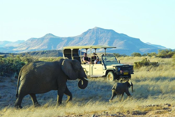 3 Day Etosha (Accommodated) Guided Tour - Accommodations Included