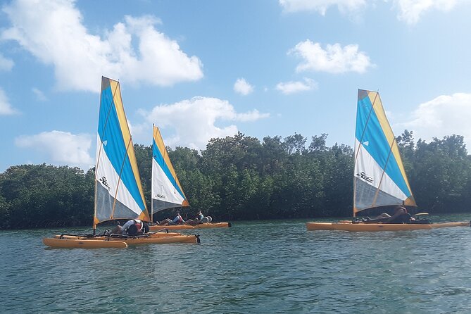 3 Day Everglades National Park, Backcountry Kayak-Sailing Tour - Pricing and Booking Details