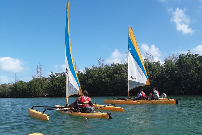3 Day Everglades National Park, Backcountry Kayak-Sailing Tour - Day 1: Sail to Backcountry Beach