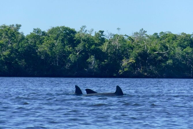 3 Day Everglades National Park, Backcountry Kayak-Sailing Tour - Reviews and Questions