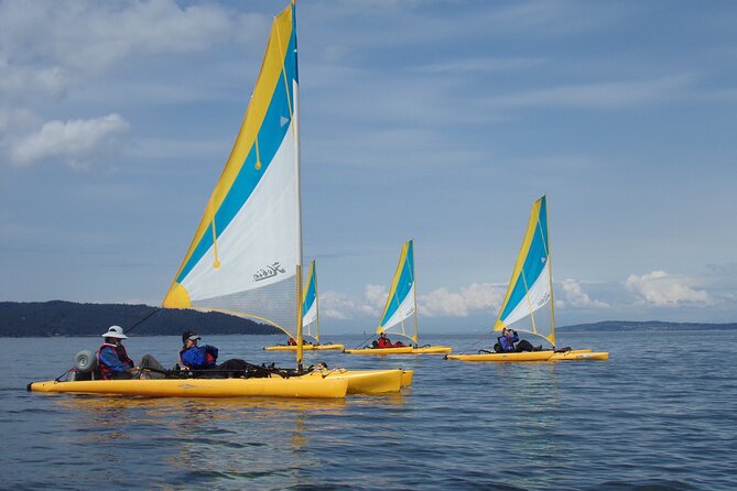3 Day Everglades National Park, Backcountry Kayak-Sailing Tour - Common Questions