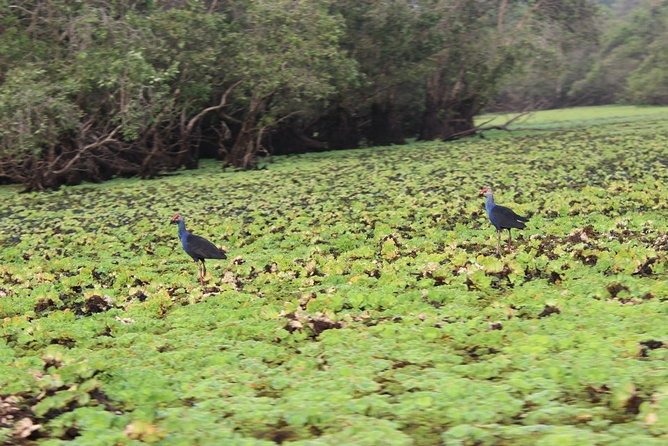 3-Day Experience Ho Chi Minh (Saigon) & Mekong Delta - Must-Visit Attractions in Ho Chi Minh City