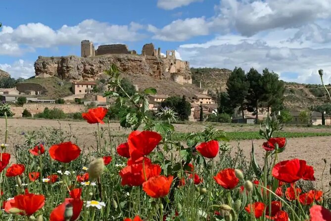 3 Day Foodies & Nature Lovers Tour; Medieval Village Near Madrid - Accommodation and Logistics