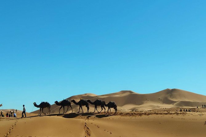 3 Day From Fes via Desert Marrakech - Traveler Reviews and Ratings