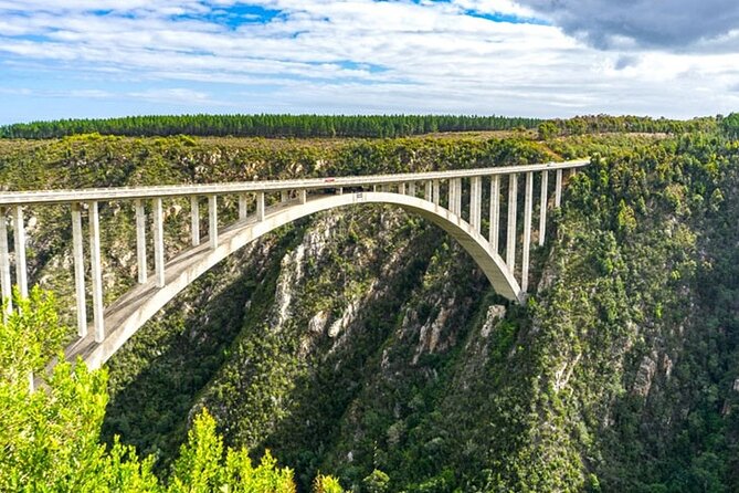 3 Day Garden Route Tour in Cape Town - Accommodation and Meals