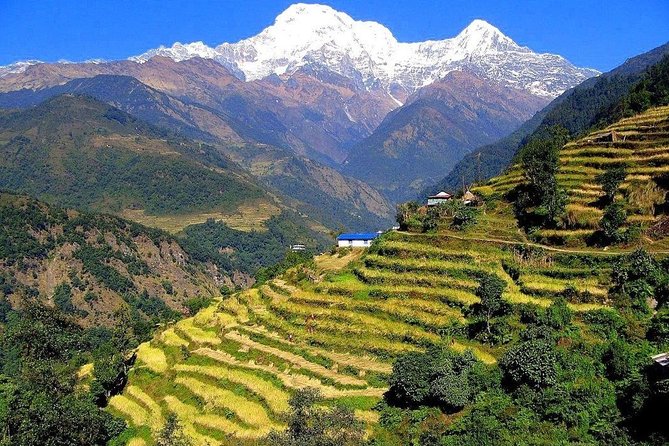 3-Day Ghandruk Loop Trek From Pokhara - Best Time to Visit Ghandruk Loop