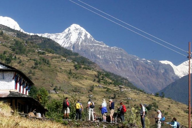 3-Day Ghandruk Loop Trek From Pokhara - Day 3: Return Trek to Pokhara via Phedi