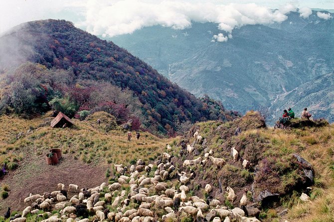 3-Day Ghandruk Loop Trek From Pokhara - Common Questions