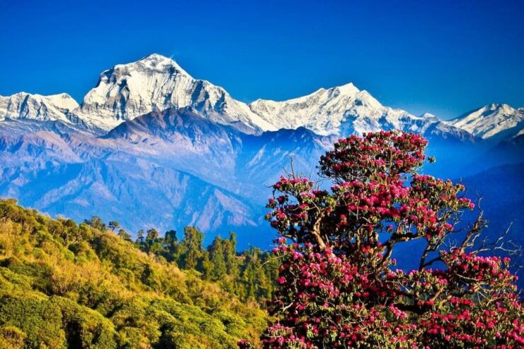 3 Day Ghorepani Poonhill Private Trek Pokhara - Detailed Itinerary