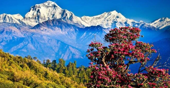 3 Day Ghorepani Poonhill Private Trek Pokhara - Included Services