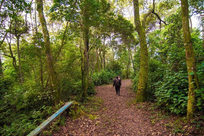 3-Day Gorilla &Golden Monkeys Experience - Additional Info